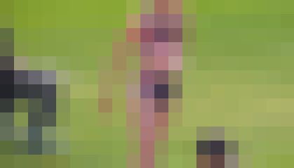 4587／「駆けつけ撮り・女子陸上難民を救え（３）」