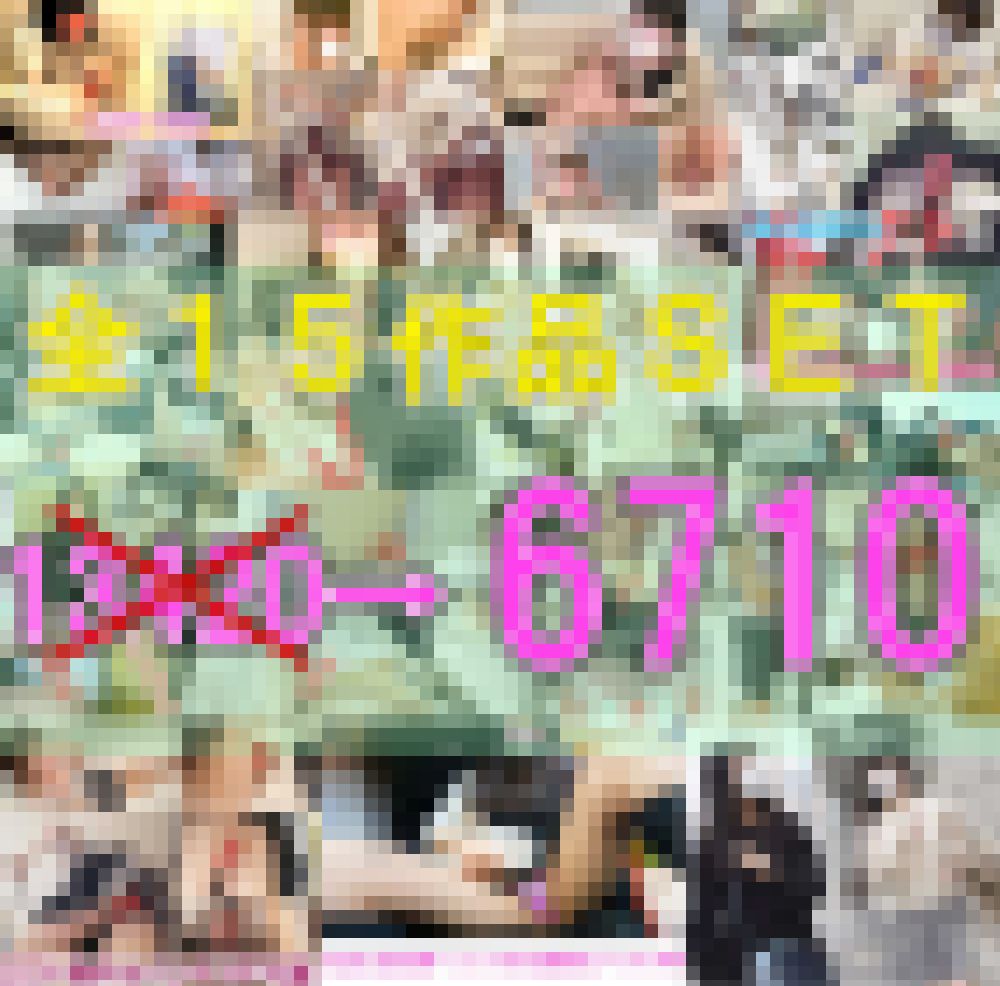 ※全コンプリート作品 /パンチラ/胸チラ