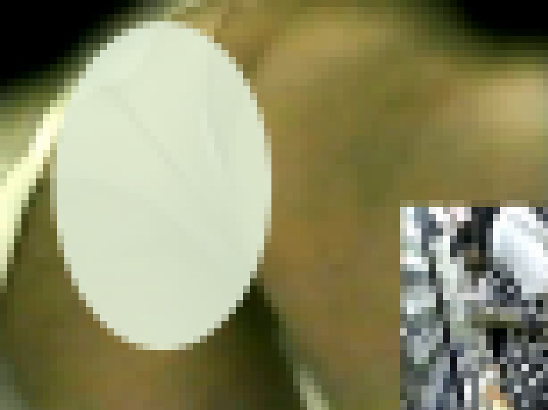 【お宝放出！待望の動画第32弾】ハンディカムアーカイブ！羨望の某グローバルメーカー美尻コンパニオンさん☆（MF-V024