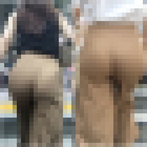 【再販商品です】No.230「Tバック？鋭角パンティー？セレブのラグジュアリーはどちらがお好み？」