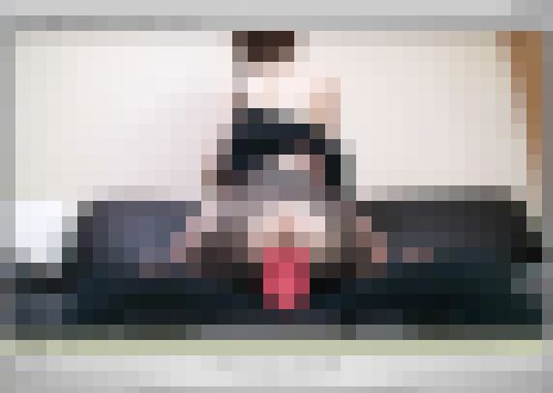 【再販商品】【素人ハメ撮り投稿】エッチ大好きお嬢さん年上変態セフレとストッキング履いたままの濃厚セックスで何度も逝き狂う！