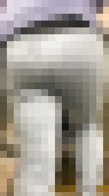 お姉さんの後ろ姿　２人　ムチムチ　パンツ　豊満なお尻　階段上り