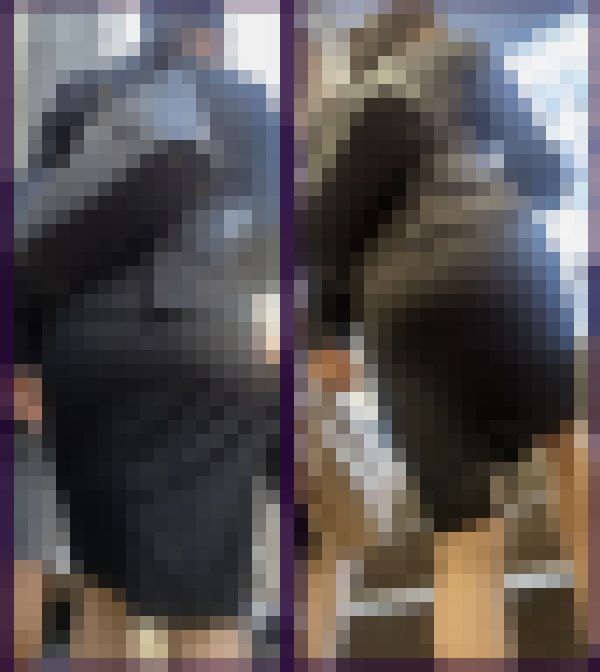 【090】リクルートスーツOLさんお2人…プリプリのタイスカ！