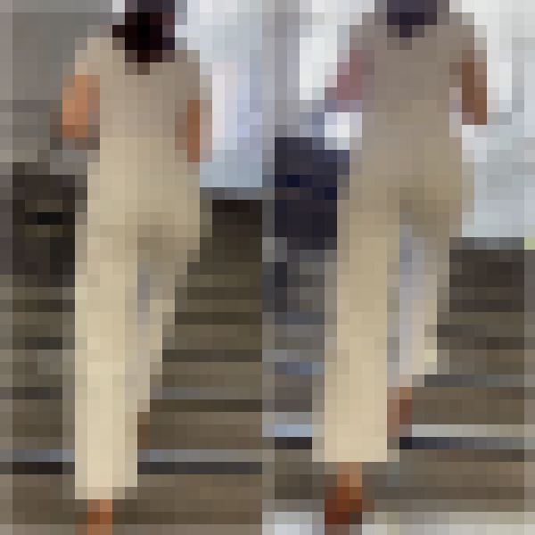 【再販】《４K・高画質》 No.777「素朴な奥様！ペラペラ生地のリブパンツ姿で登場」