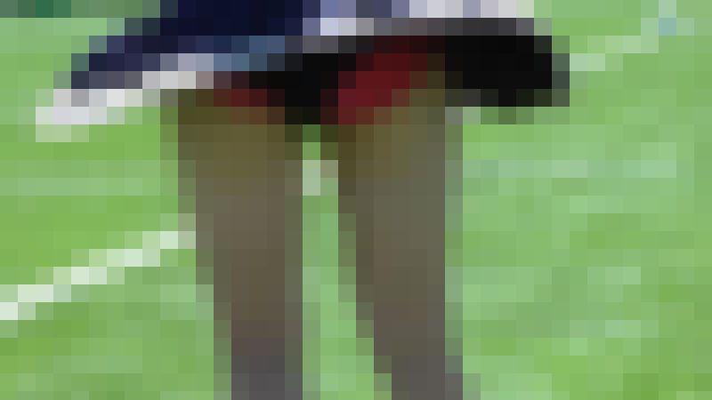 【再販】なにわガールズ941　やっぱり○○がナンバー１　これ見たら疑いの余地なくナンバー１やで！