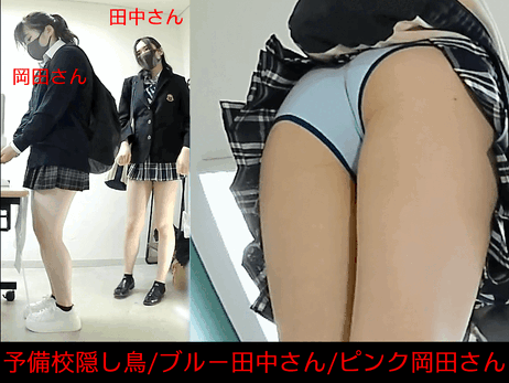 【予備校隠し鳥4日8種/青い田中さんピンクの岡田さん