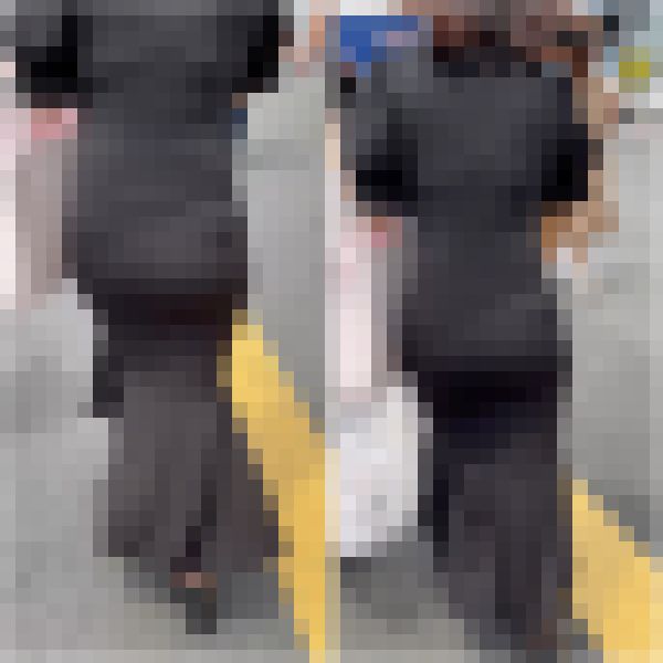 【再販】《４K・高画質》 No.811「なんという肉の塊！はち切れそうでも着れちゃう凄いワンピ」