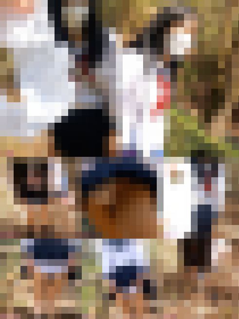 パンモロお散歩〜2024春〜③