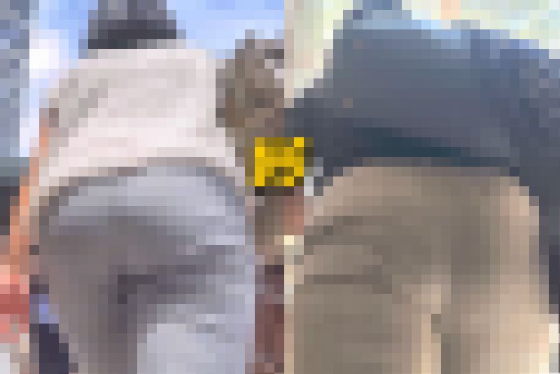 Wエロ巨尻を下から堪能！バリキャリOL達の熟したパッツン尻とパンティラインで男を挑発! 『階段を登る』女 編