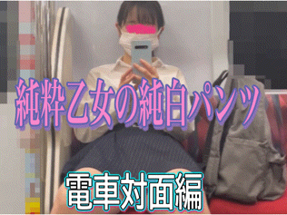 【電車対面編】見た目は純粋無垢な乙女ですが、スカートの中はとってもスケベな純白パンツでした?