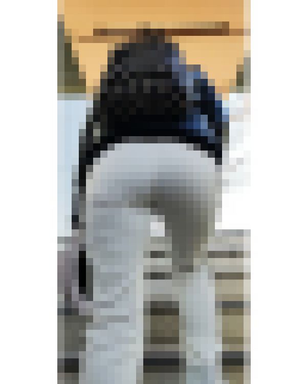 《尻神》激揺れ!!デカ尻セレブマダム