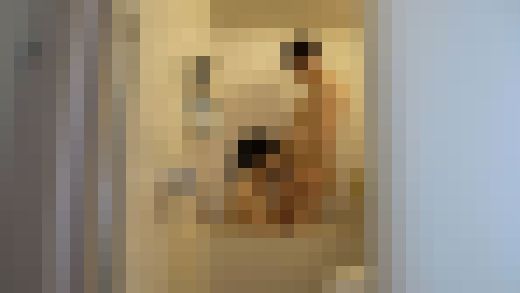 熟れ奥様が旦那様のためデカマラに即ハメされた結果、他人棒に夢中でヨガり狂ってしまいました【嫁ちゃん倉庫】