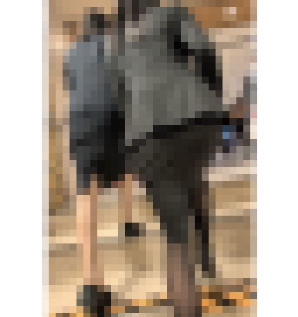 【494】美人スーツOLコンビがオフィス街にて魅惑の歩行を披露！