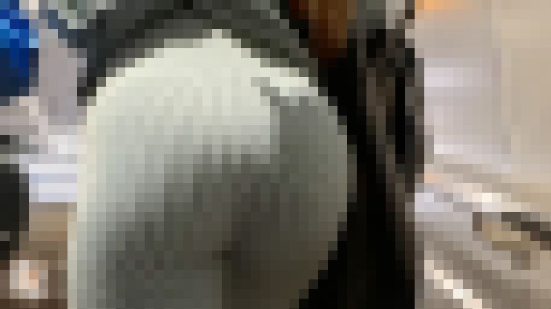 【4K高画質】カラフルヨガパン 階段見上げ