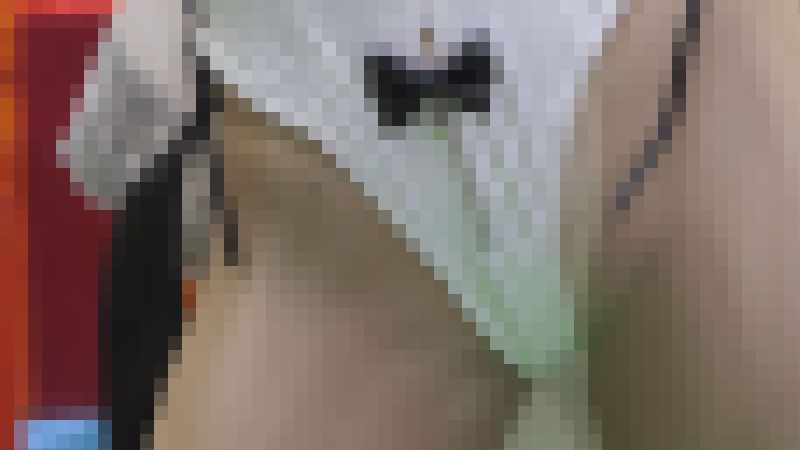 速報！コミックスペシャルカーニバル2025冬NO-27ハミパンバニーちゃん編