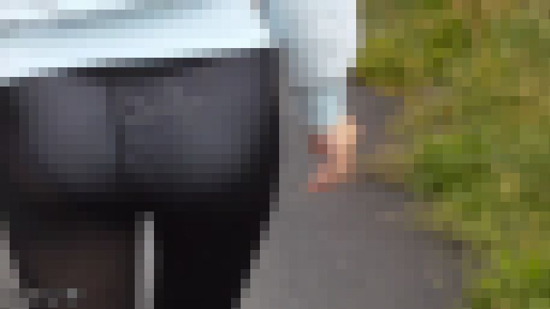 タイツやスカートからパンティーが透けている少女【3作品分】