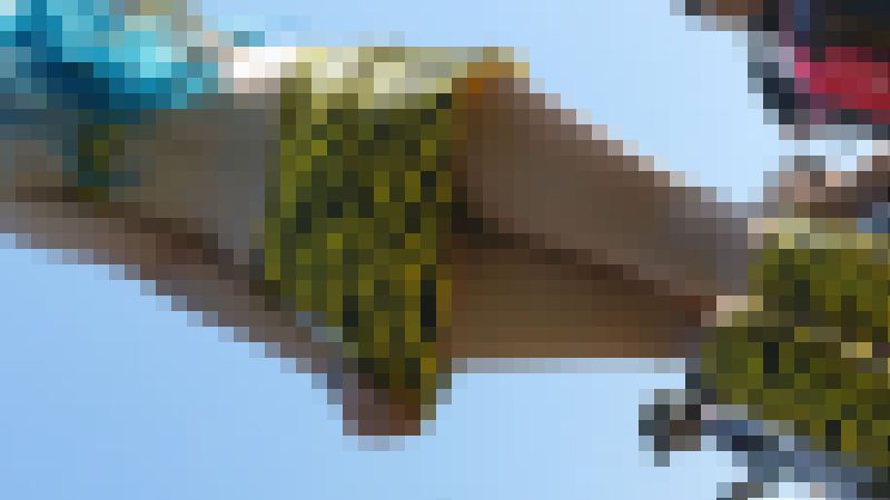 リアルにヤバすぎます！野外コスイベに集まる露出狂レイヤー達NO-6 ハイレグエロレイヤー編