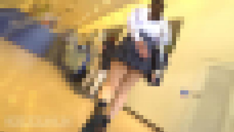 NICHE VIEW vol.141【夏風に吹かれて】