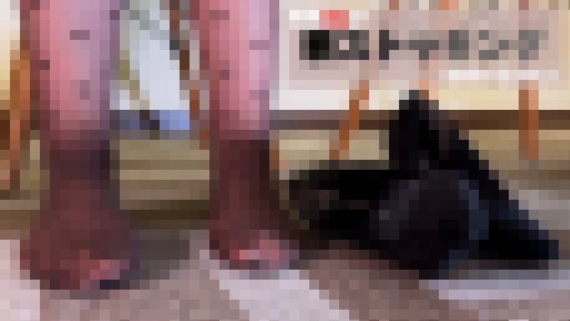 【再販】同僚OLが柄ストッキングを履いてきた！